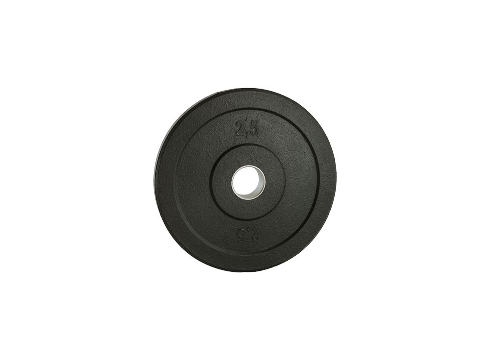 Бамперный диск 2,5 кг Ø300